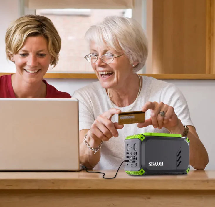 110V Camping Power Station