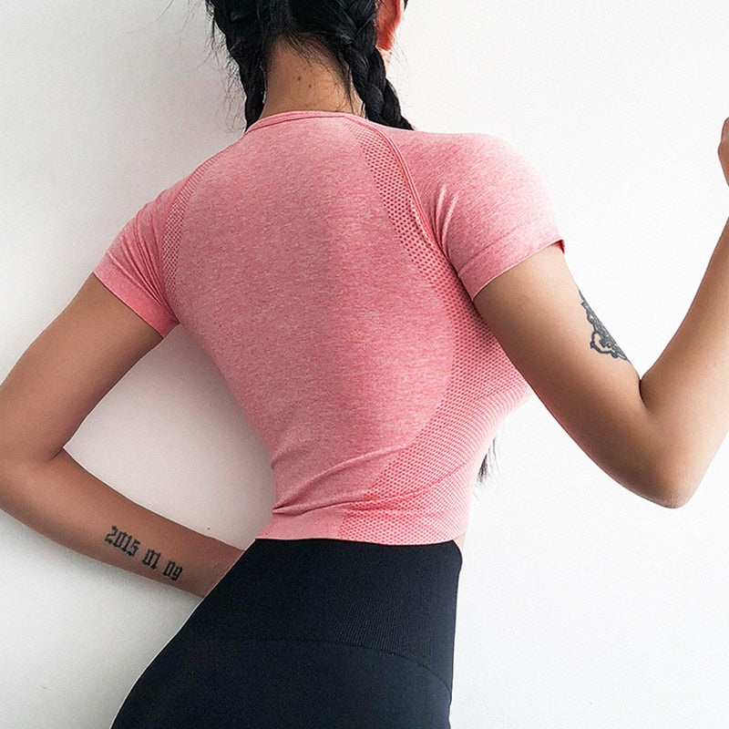 Women's Energy Seamless Yoga Shirts Short Sleeve Crop Top Basic Scoop Neck Shirts